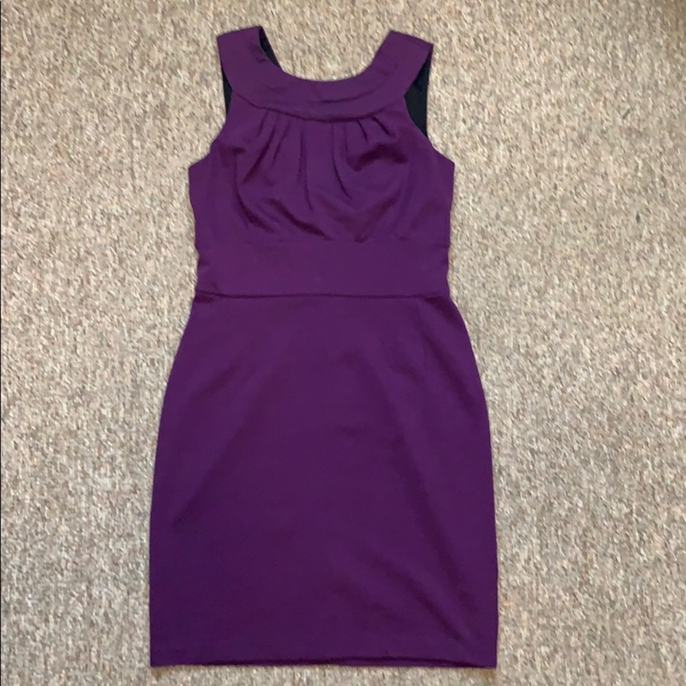 Banana Republic Fitted Sheath Dress